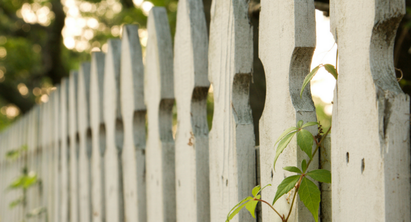 Updated Blog Post Privacy Policies: What You Need to Know