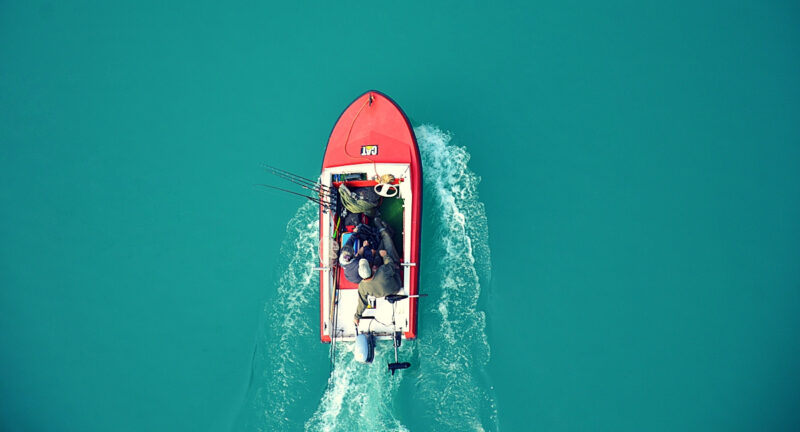 Updated Blog Post 3 Tenstreet Services to Navigate Your Data