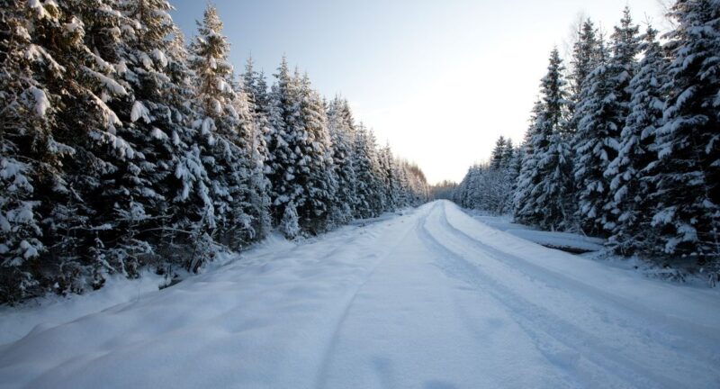 Updated Blog Post Driving in Adverse Conditions: A Comprehensive Guide